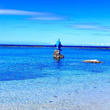 Beautiful 100mt From The Sea *